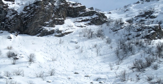 ../public/Images/SlideHome/s011.JPG