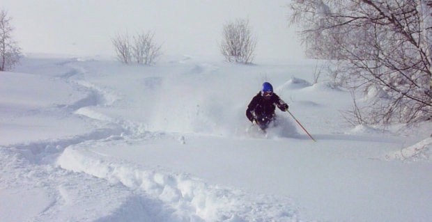 ../public/Images/SlideHome/s2.jpg