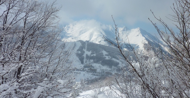 ../public/Images/SlideHome/sP1090491.JPG